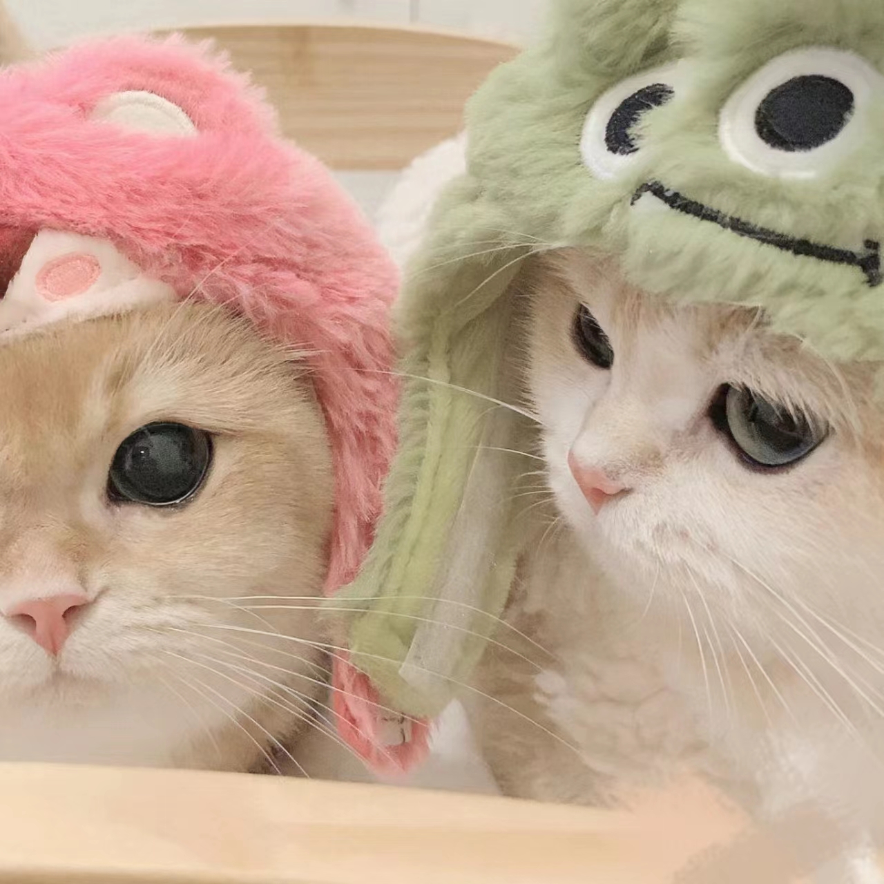 9·1安装免费版APP应用